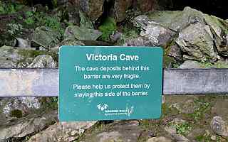 Barrier in Victoria Cave