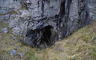 Gully Cave