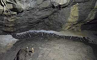 Crazy paving formation in White Scar Cave